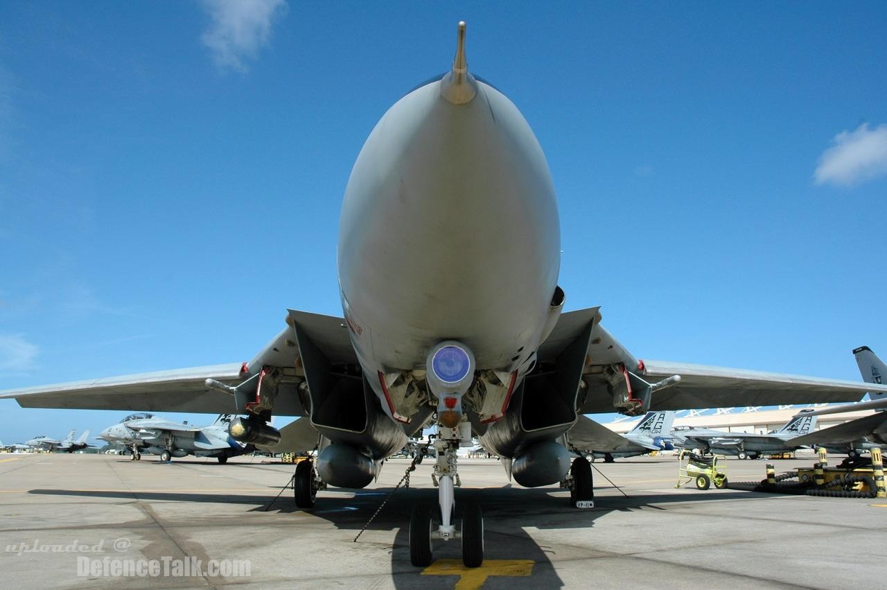 Grumman F-14 Tomcat - US Air Force