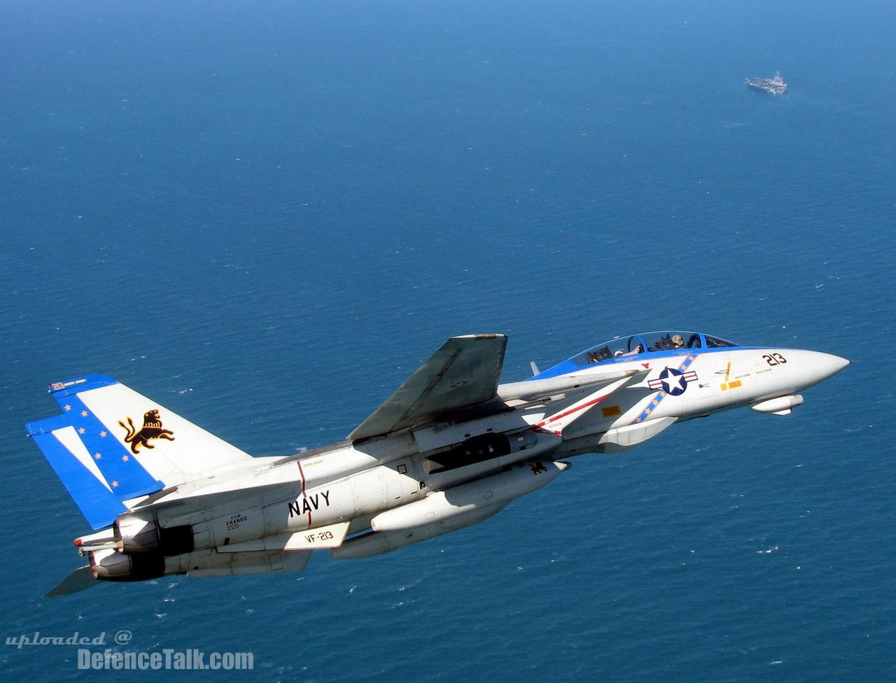 Grumman F-14 Tomcat - US Air Force