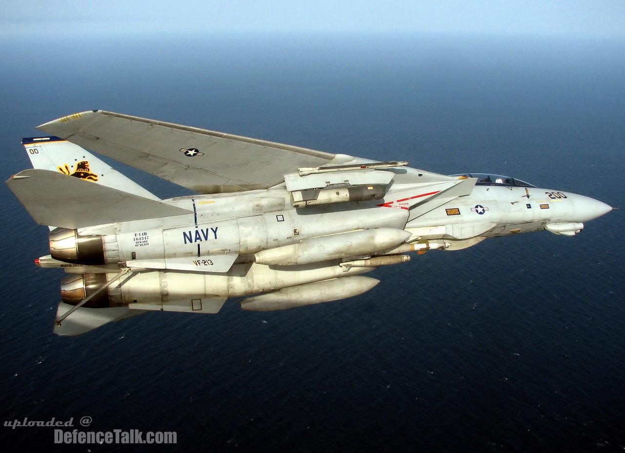 Grumman F-14 Tomcat - US Air Force