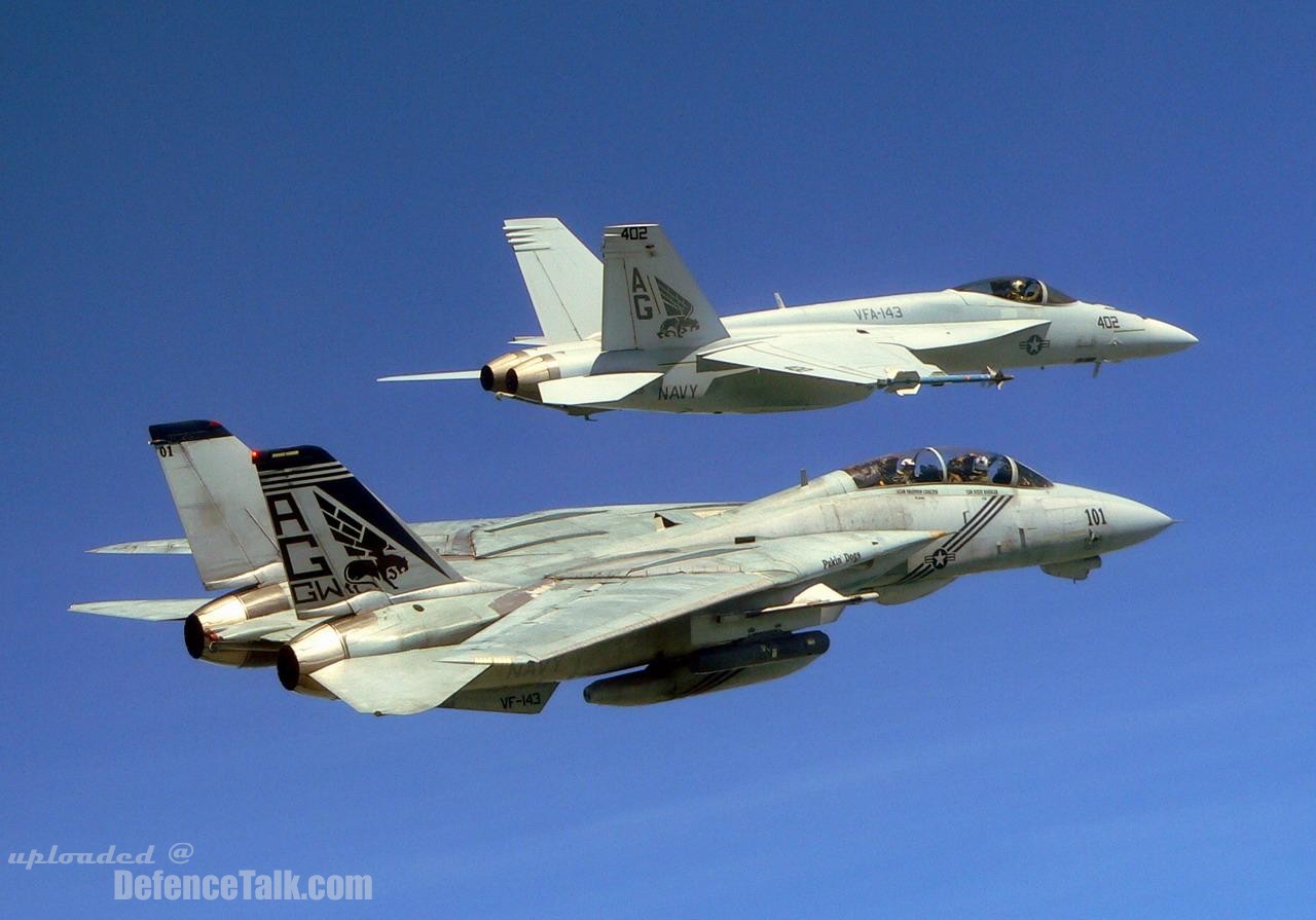 Grumman F-14 Tomcat - US Air Force