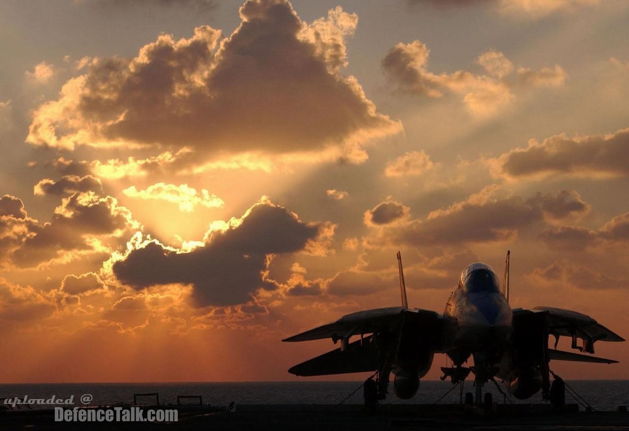 Grumman F-14 Tomcat - US Air Force