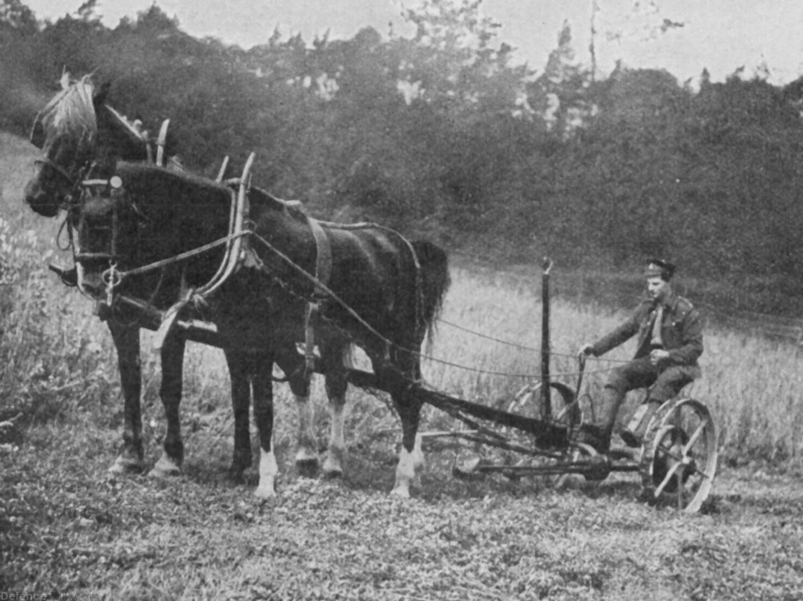 gws_frhaymaking_01