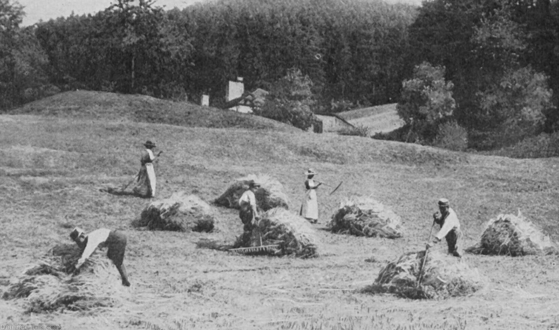 gws_frhaymaking_02