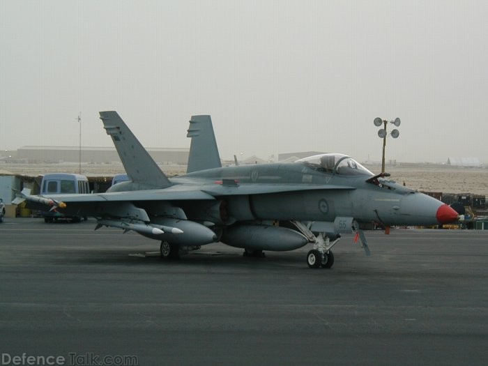 Hornets in Middle East