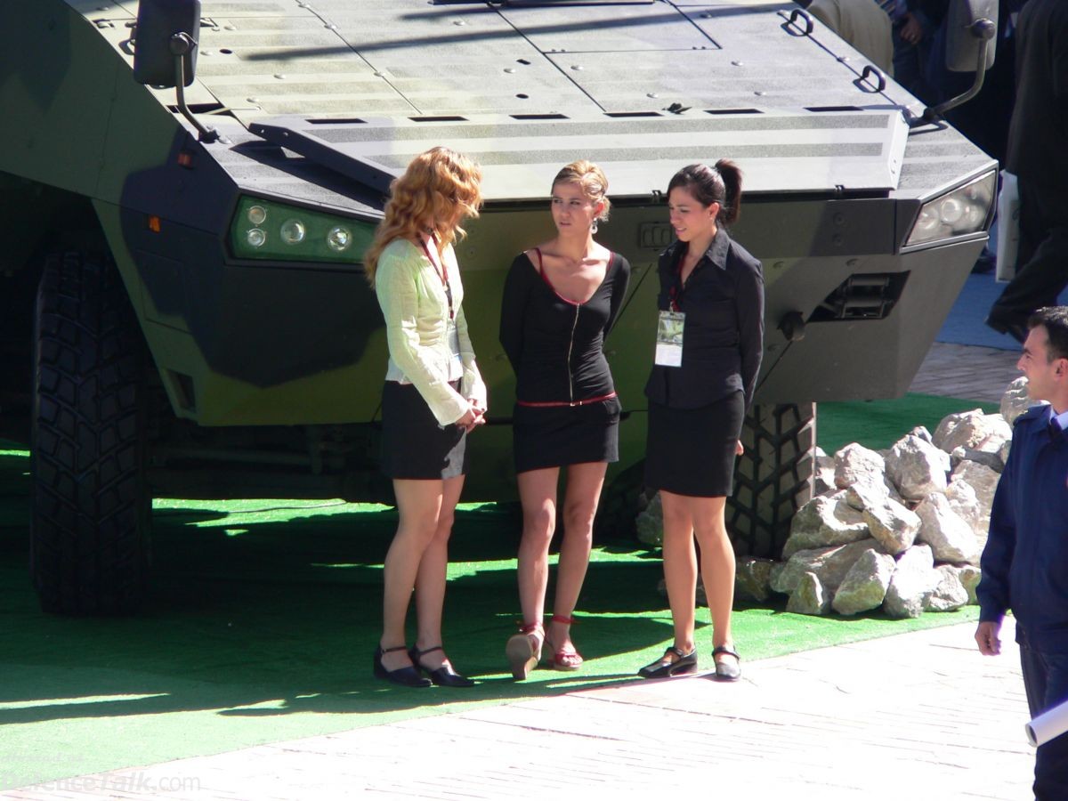 IDEF 2005 - Land Weapon Systems and their Keepers
