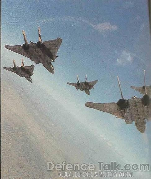 Iranian F-14