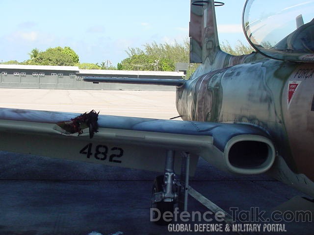 Jet Aircraft vs. Bird