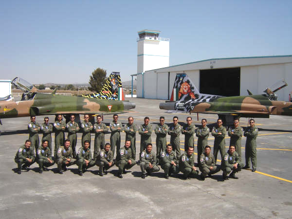 Mexican Air Force F-5s