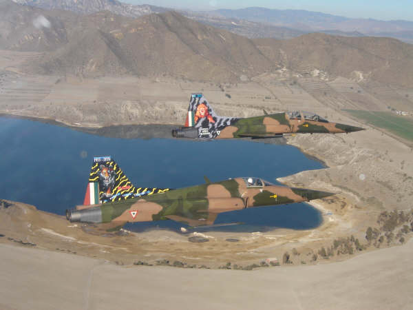 Mexican Air Force F-5s