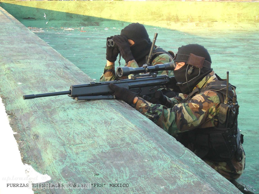 Mexican Navy Special Operations Force