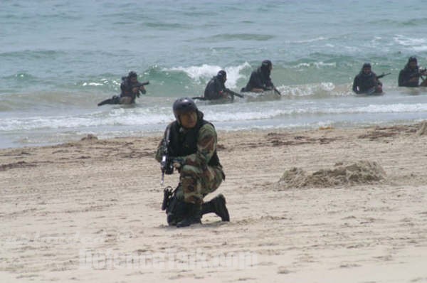 Mexican Navy Special Operations Force