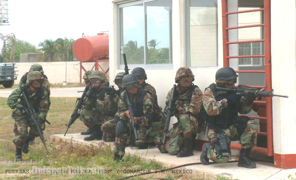 Mexican Navy Special Operations Force