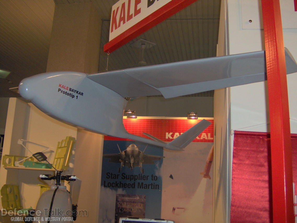 Mini UAV / KaleBaykar