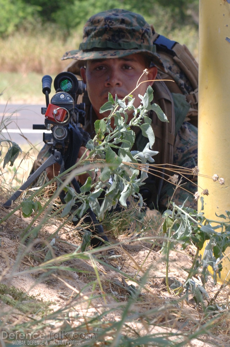 Non-combatant Evacuation Operation (NEO) - Naval Exercise