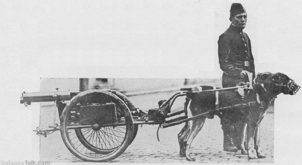 nw_lewisgun_dogs_01