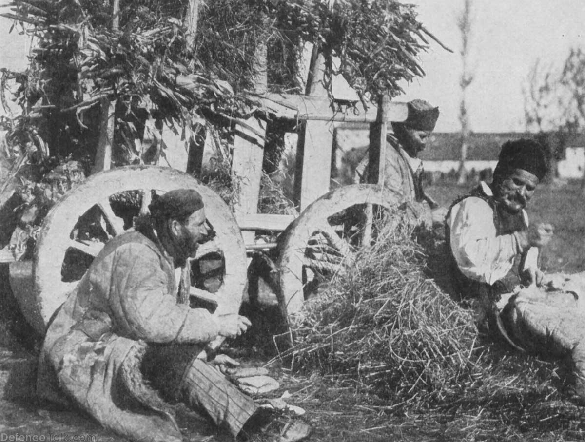 nw_serbs_resting_01