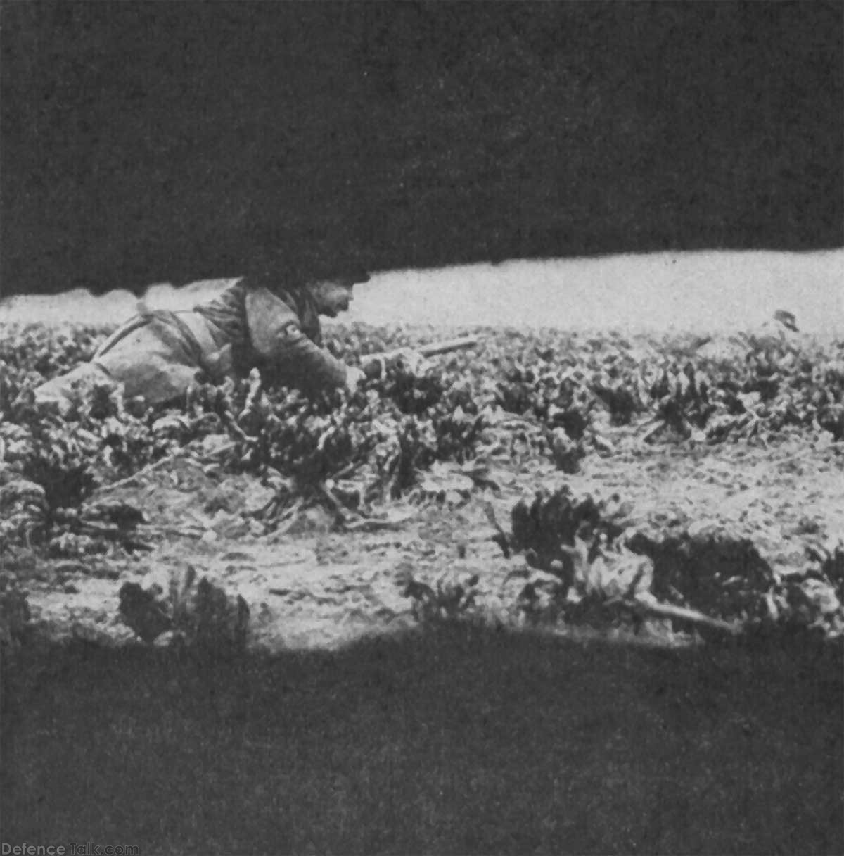 nw_trench_peri_01
