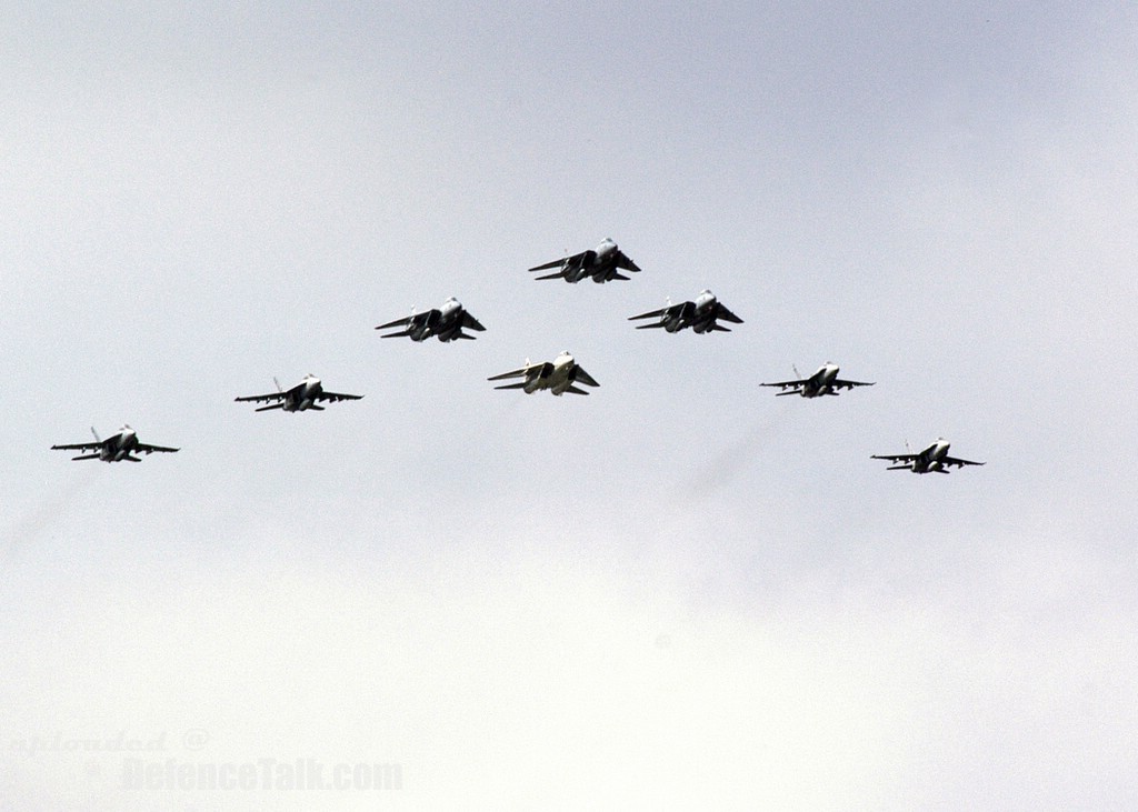 Oceana Air Show 2005 - F-14 Tomcats and F/A-18 Hornet