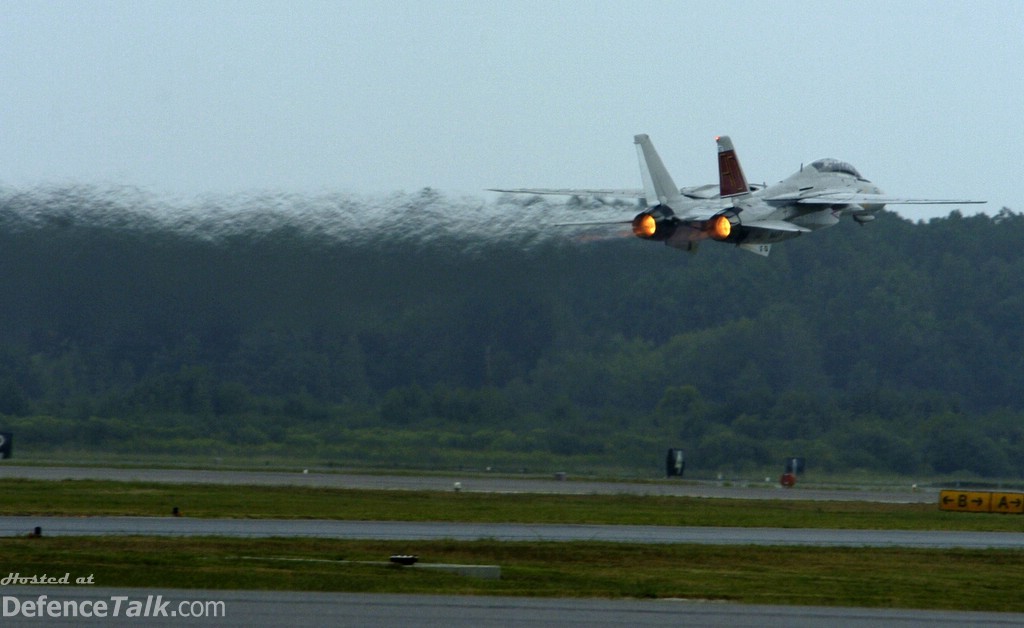 Oceana Air Show 2005 - F-14D Tomcat