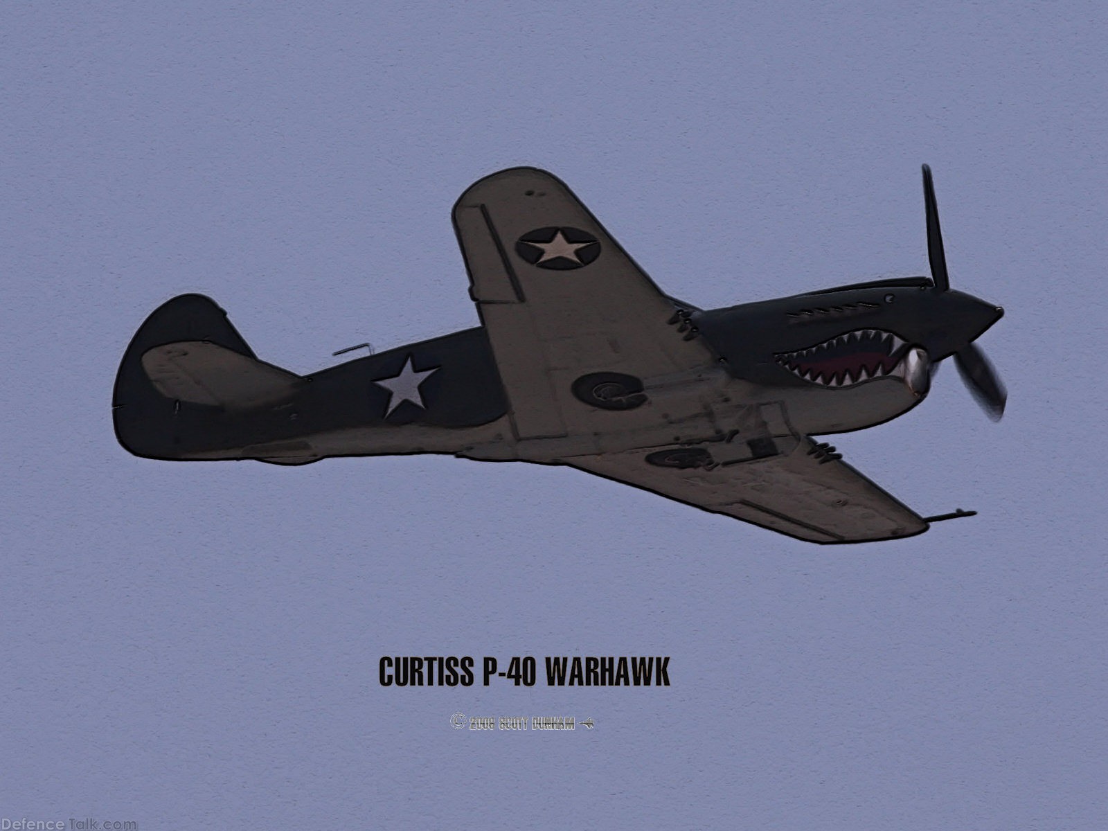 P-40 Warhawk Fighter