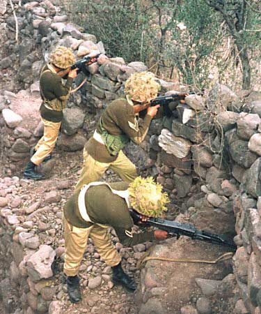 Pakistani Army