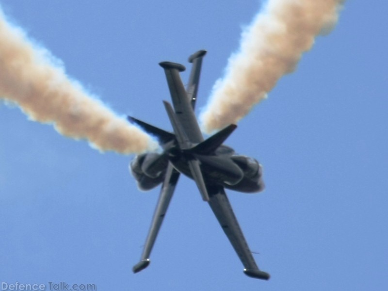 Patriot Flight Demonstration Team