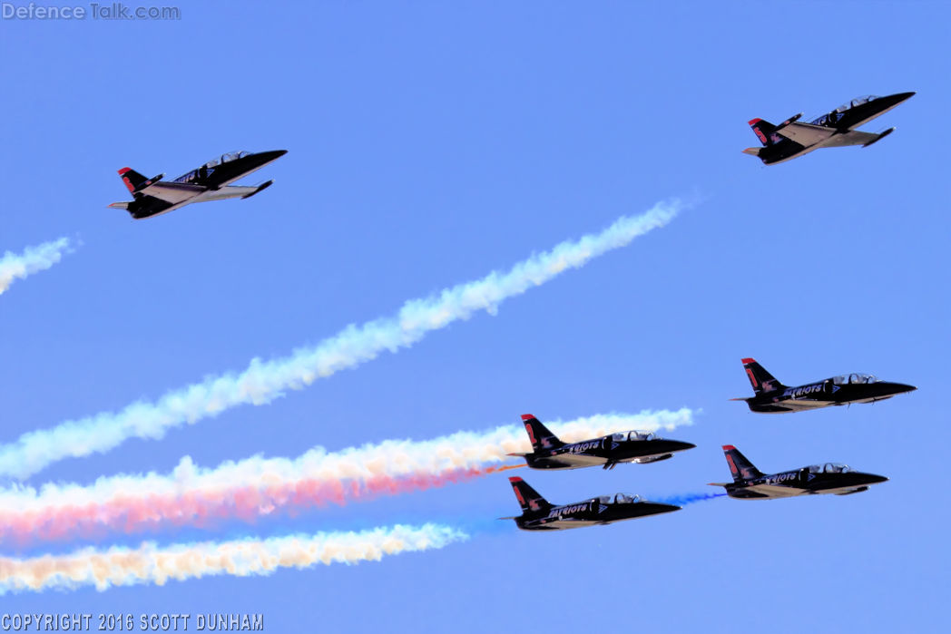 Patriots Flight Demonstration Team L-39 Albatros