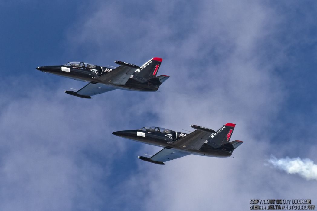 Patriots Flight Demonstration Team L-39 Albatross Jet Trainer