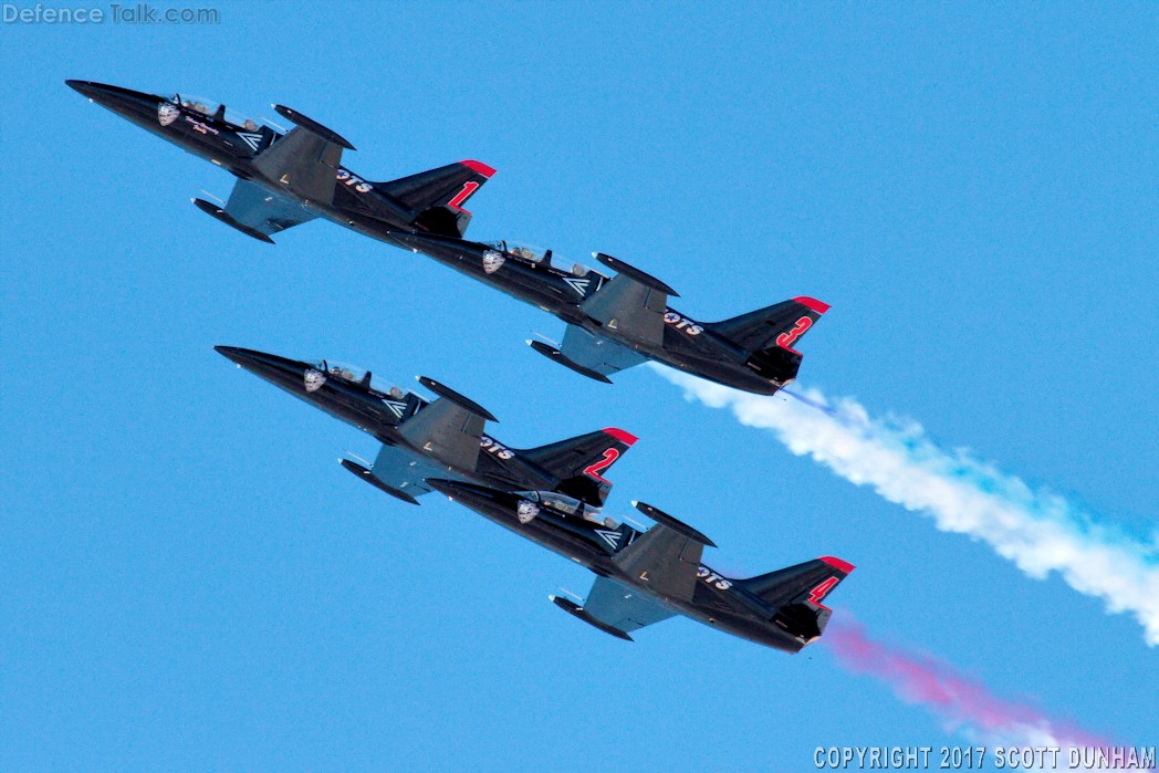 Patriots Flight Demonstration Team L39 Albatross