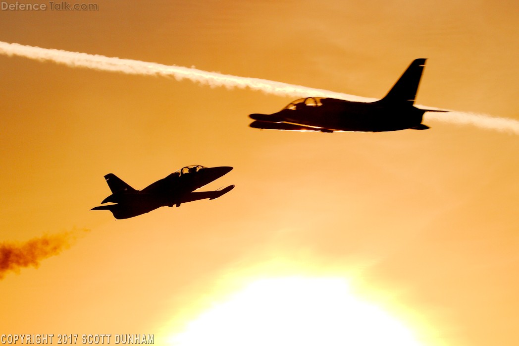 Patriots Flight Demonstration Team L39 Albatross