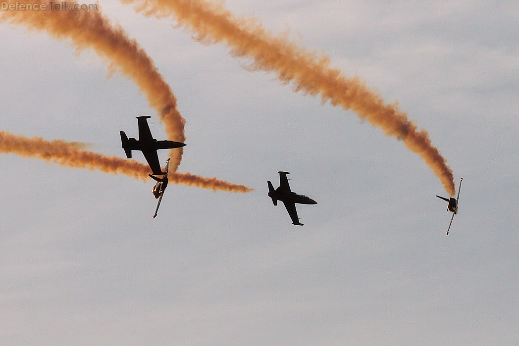 Patriots Flight Demonstration Team L39 Albatross