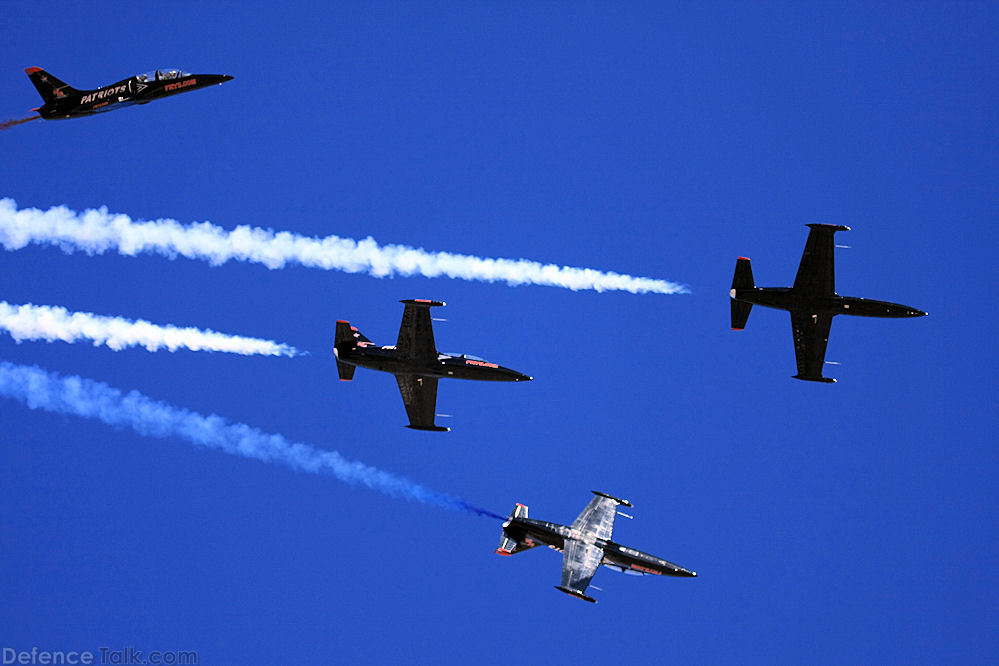 Patriots L-39 Flight Demonstration Team