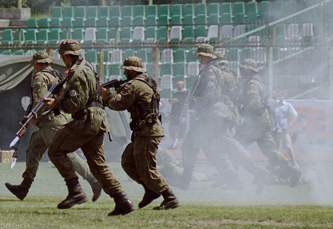 Polish Army troops