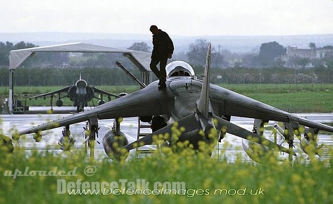 RAF GR-7 Harrier