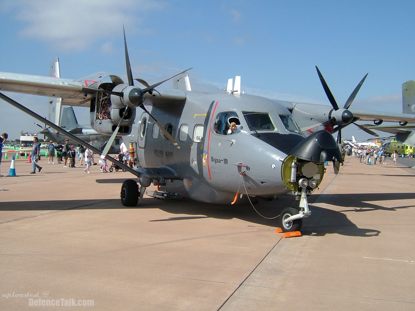 RIAT 2006 Air show (The Royal International Air Tattoo)