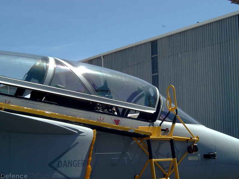 SAAF Gripen at Africa Aerospace and Defence 2006