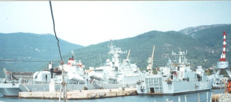SILBA class landing ship and KONI class frigate