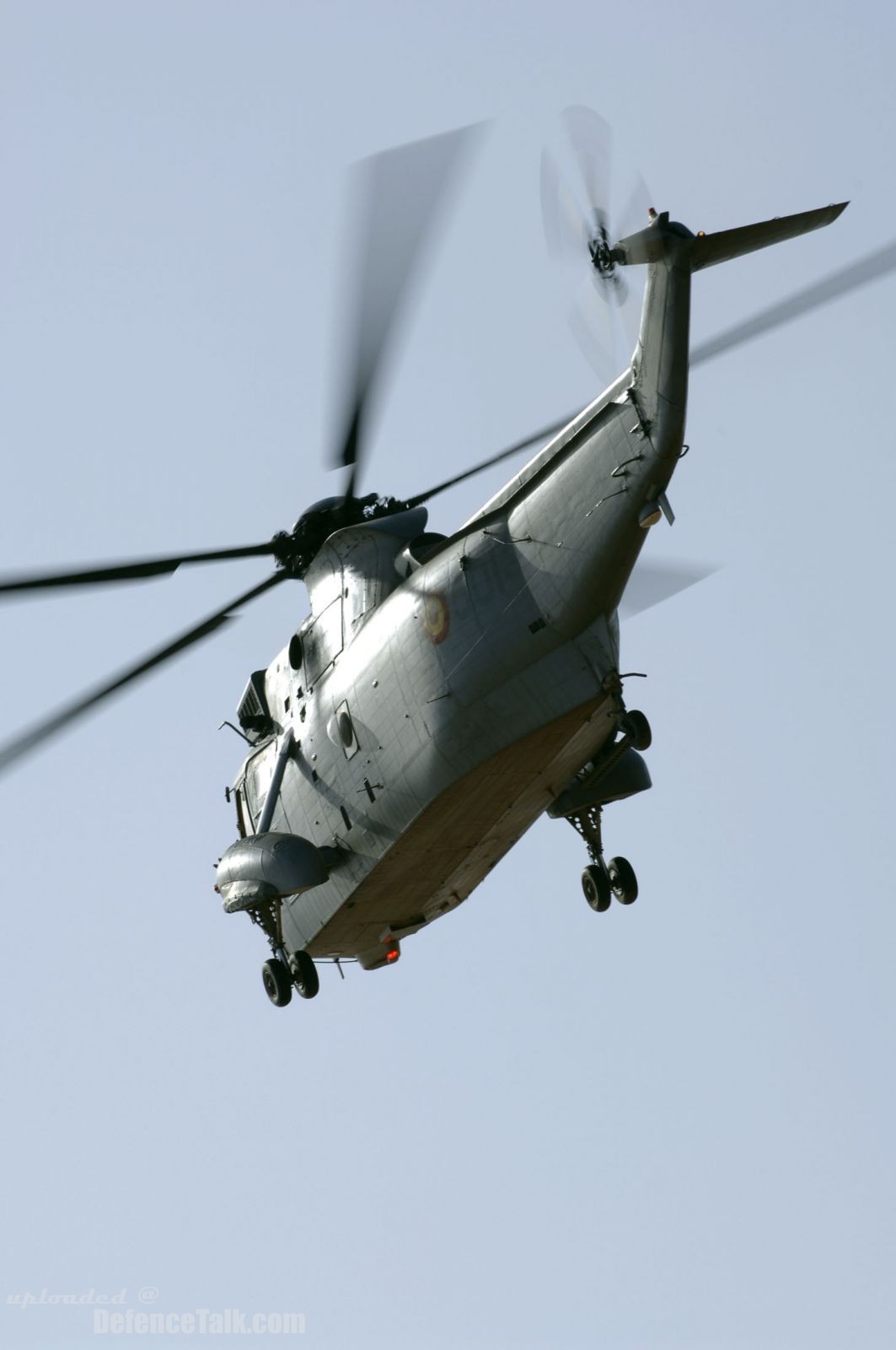 Spanish Sea King helicopter - Steadfast Jaguar 2006