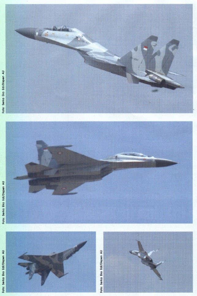 Su-27SK/-30MK Flankers