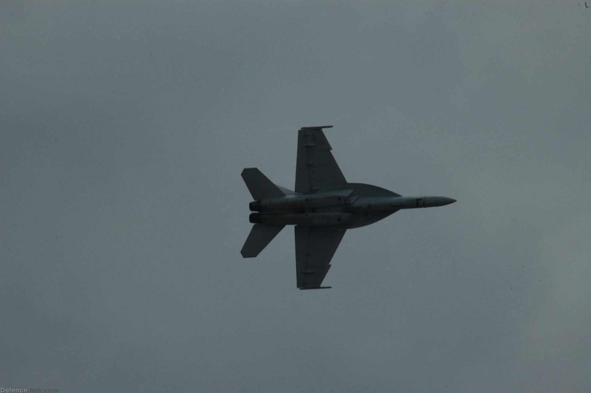 Super Hornet F-18 E/F