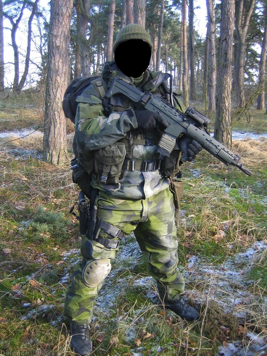 Swedish Military