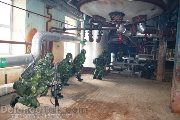 Swedish National Home Guard