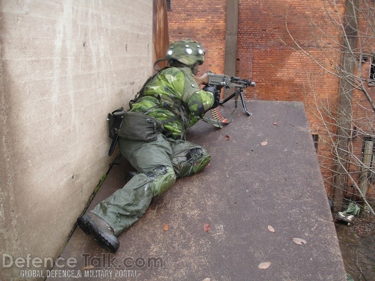 Swedish National Home Guard