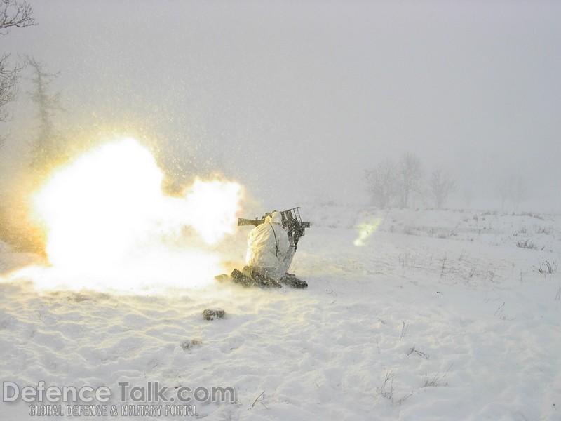 Swedish National Home Guard