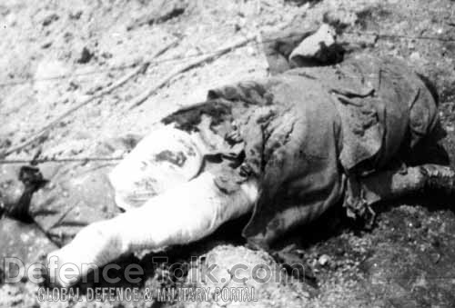 The Dead during the World War One (CAUTION)