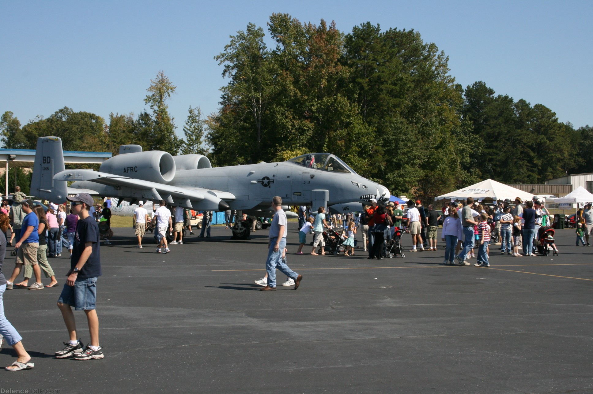 The Great Georgia Airshow 2007