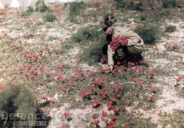 The Great War in color - World War I