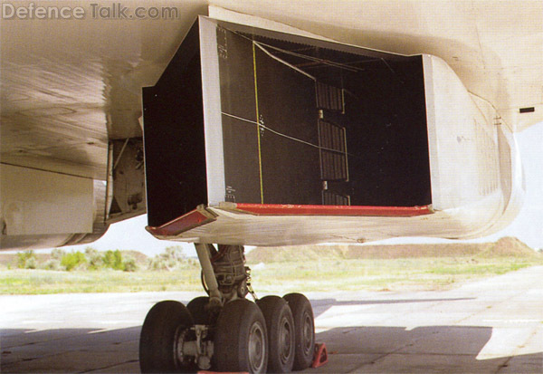 Tu-160 air intakes