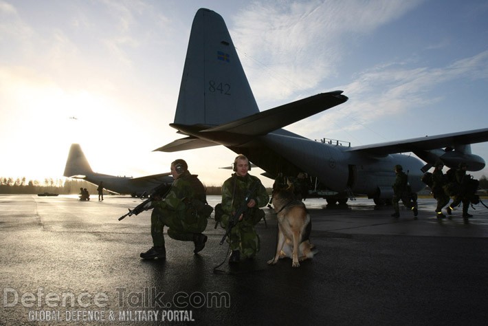 Two C-130s - Swedish Air Force, Nordex 2006