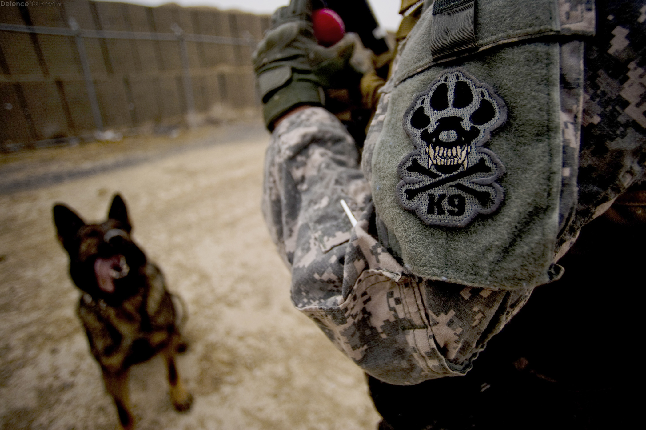 US Army Military Working Dog Handler